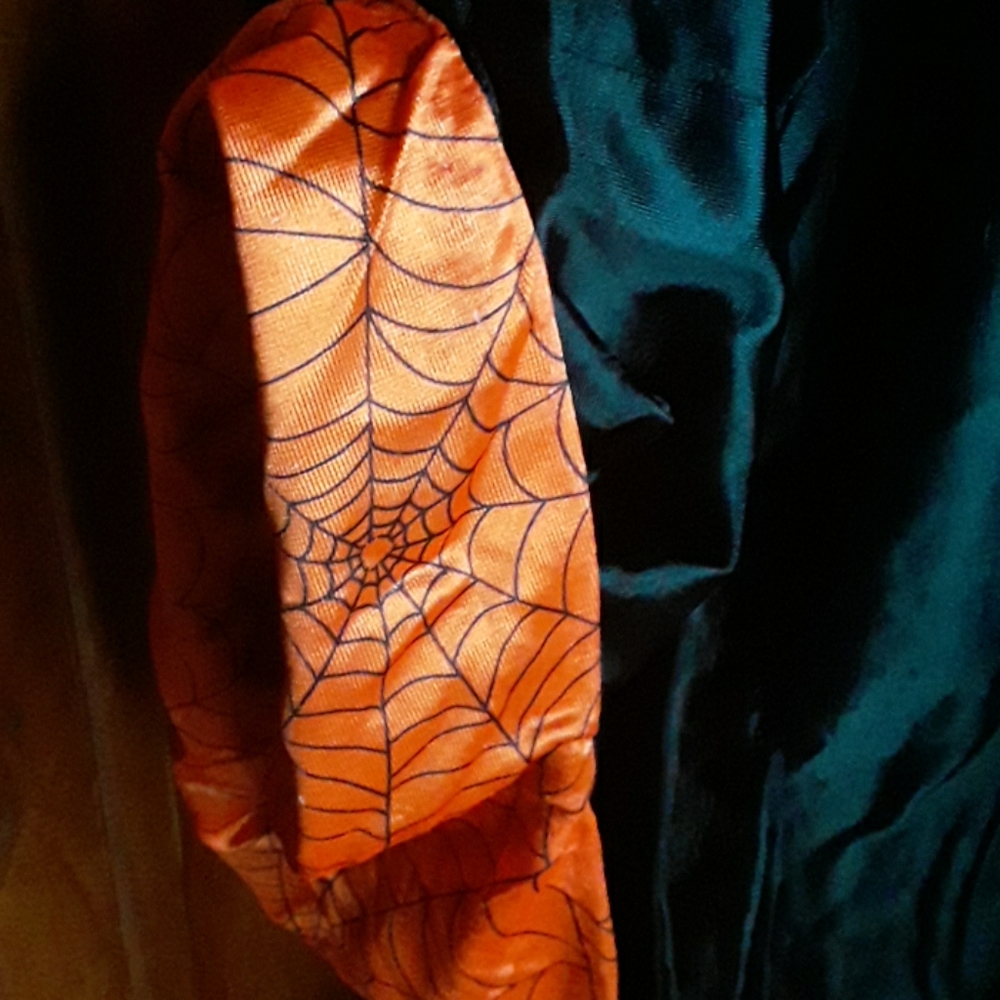 CUSTUME CO. SPIDERMAN  HALLOWEEN  COSTUME - Picture 2 of 6